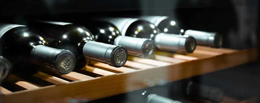 Sub-Zero wine cooler repair